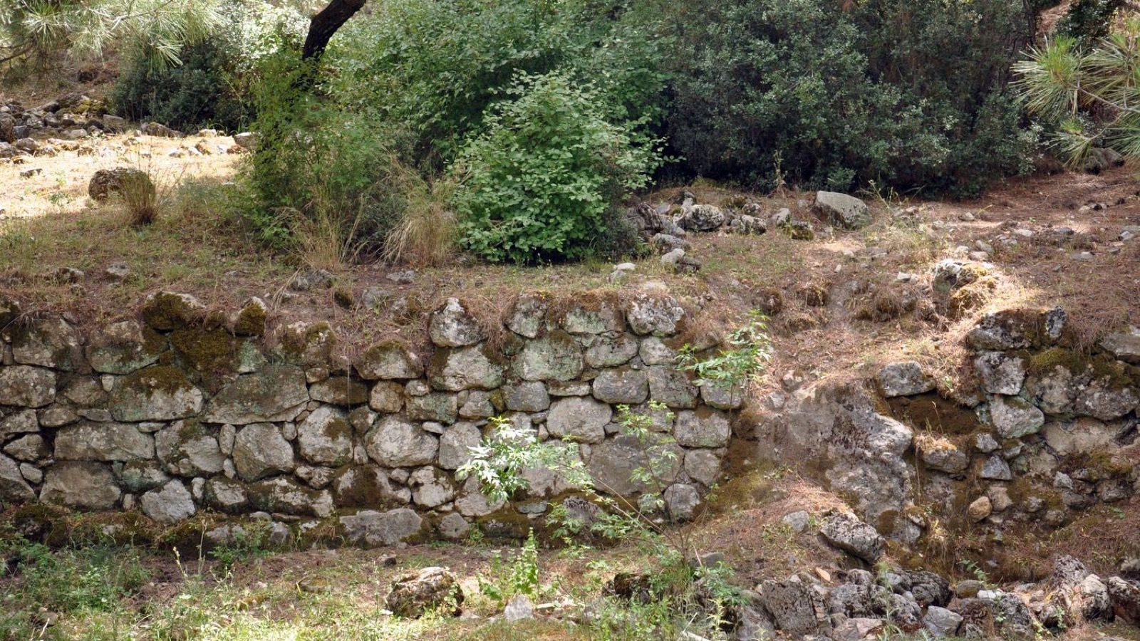 Kolophon Ancient City